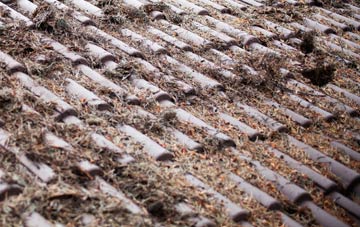 Catthorpe roof cleaning companies